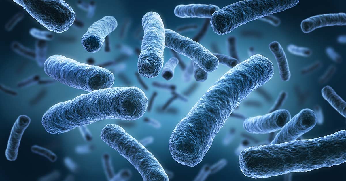3D-afbeelding van legionellabacteriën