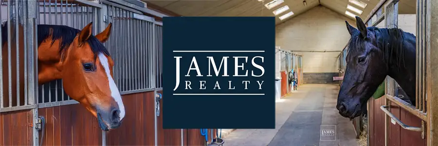 Propriétés équestres en Belgique : tradition, excellence et art de vivre