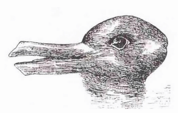 Hand-drawn ambiguous figure readable as a duck facing left or a rabbit facing right