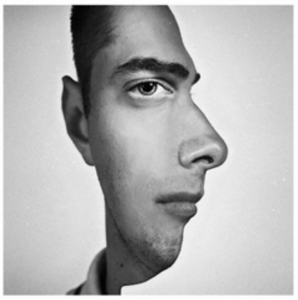 Hybrid-face optical illusion: viewed from the left it is a face looking at you, viewed from the right it is a right-facing profile