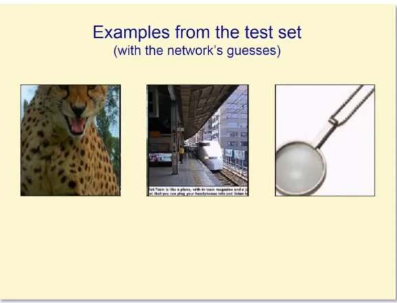 Slide titled Examples from the test set (with the network's guesses) showing a cheetah, a train and a strainer-like object