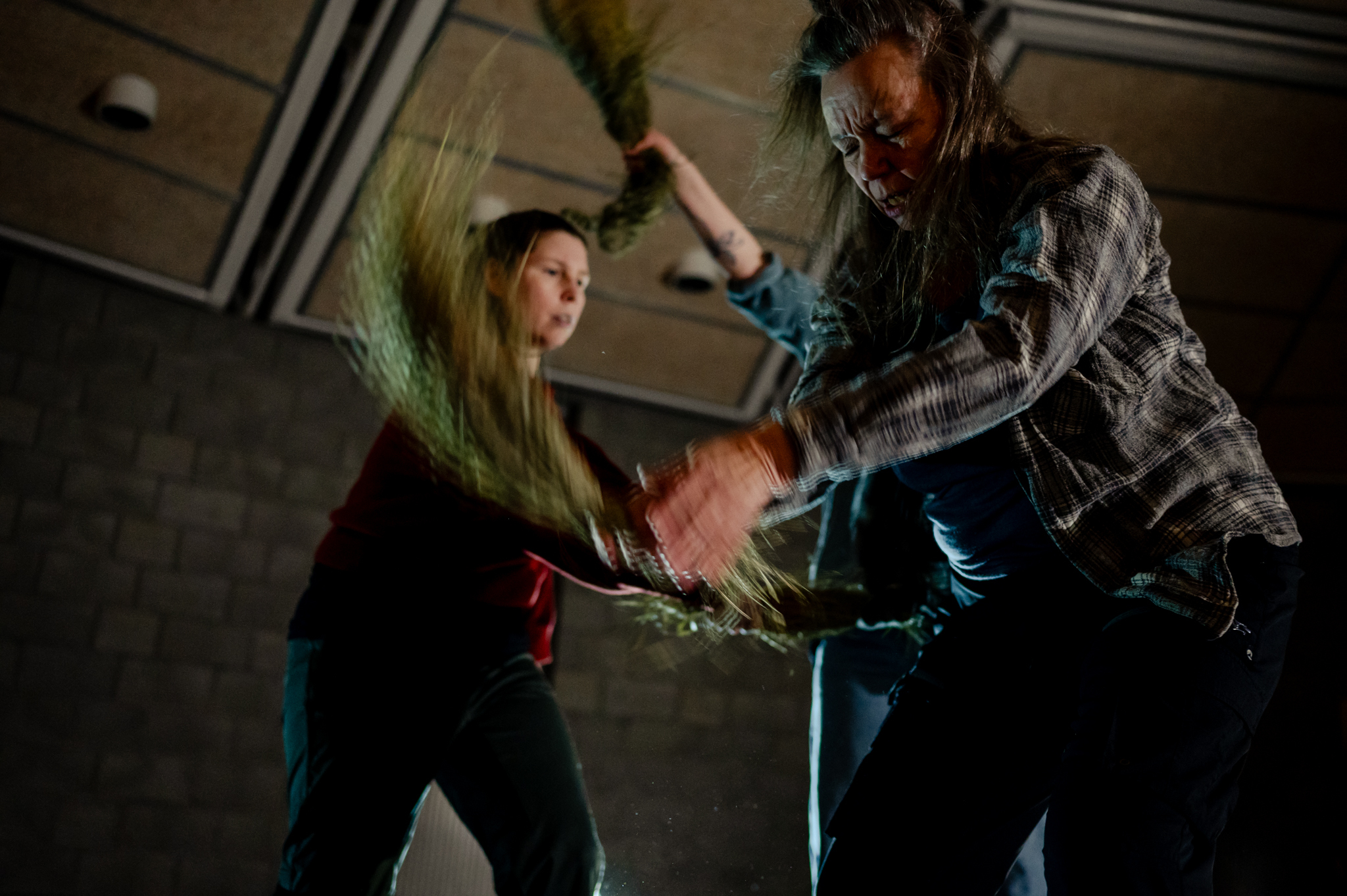 Suoidni WIP januar 2975