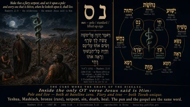 The Bronze Serpent — Numbers 21:8 / John 3:14