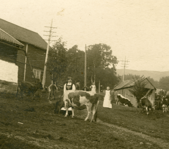 Frå Gørvell-garden, der slåttekaren Knud Hansen Nesje hadde pliktarbeid som 1. slåttekar, 1916. Foto: Birkeland/Romsdalsmuseets fotoarkiv.