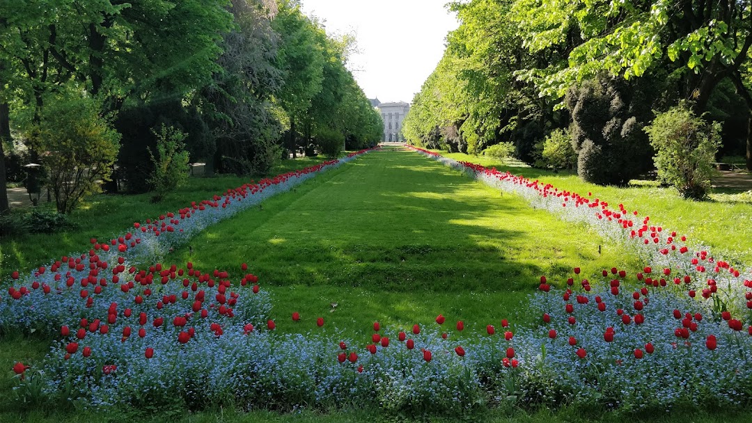 Cismigiu Gardens