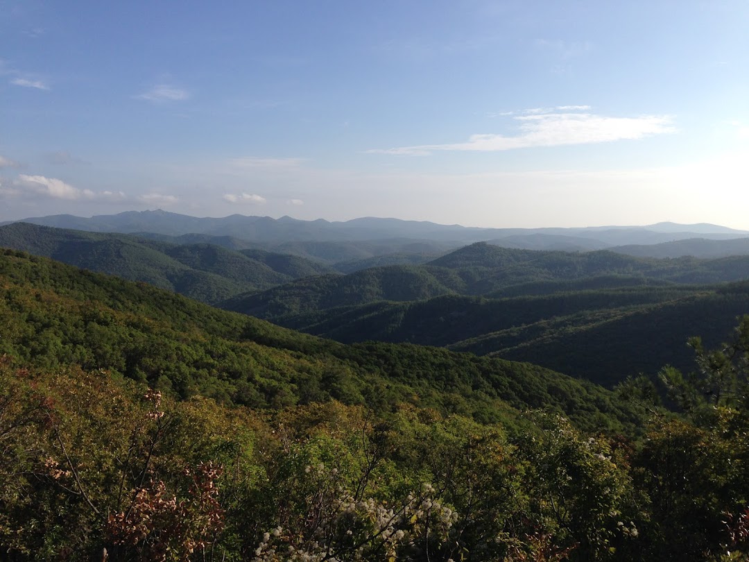 National Forest Park of Dadia - Lefkimi - Soufli