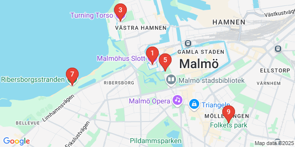 Google map