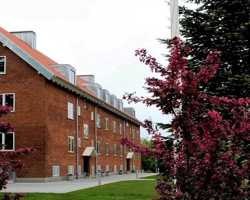 3 værelses lejlighed i Vejle