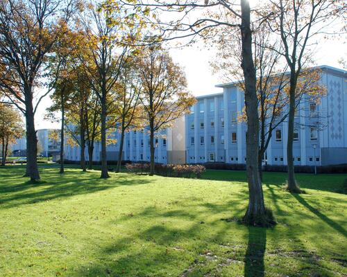 2 værelses lejlighed i Esbjerg Ø