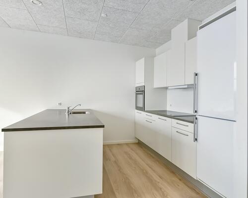 1 plans rækkehus