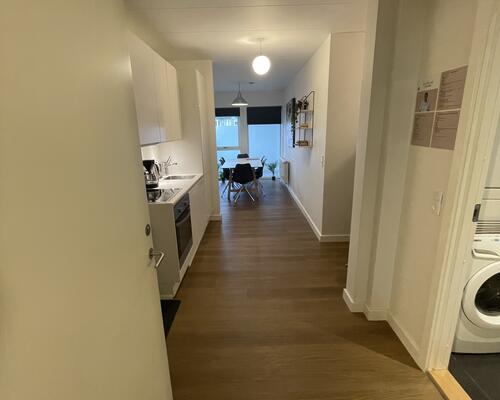 Furnished apt w. private balcony & shared rooftop