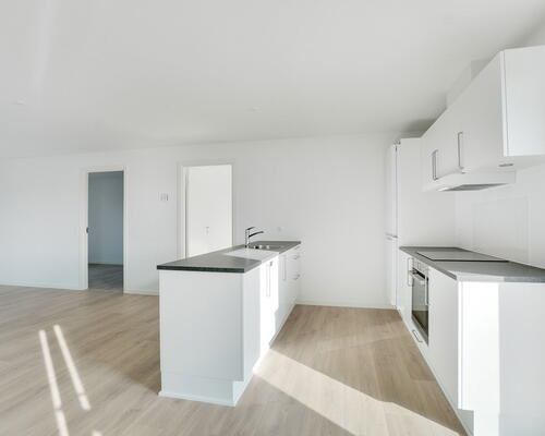 4 værelses hus i Vejle