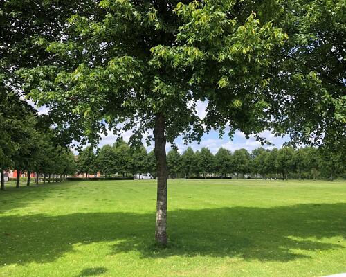 3 værelses lejlighed i Hørsholm