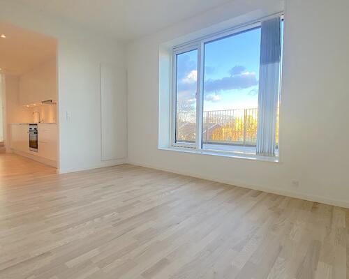 Nyere penthouse i populært område