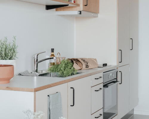 Lyst studio med plads til det hele