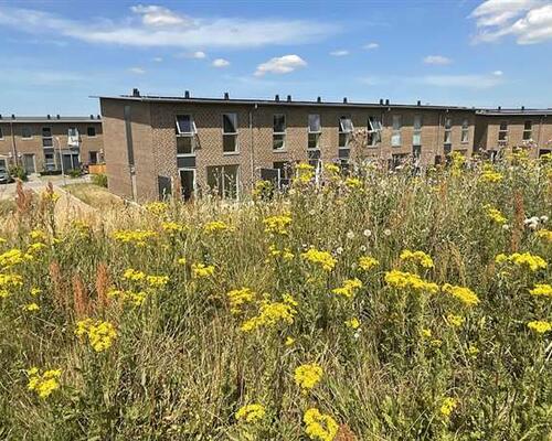 1 værelses hus i Randers SØ