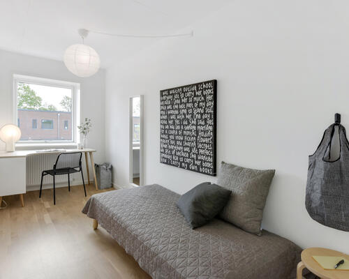 Nybygget rækkehus med moderne materialer