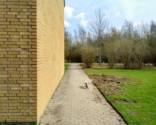 1 værelse på 12 m² - Billig Studiebolig i Odense tæt på SDU
