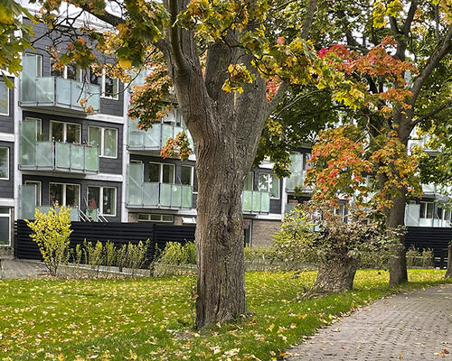 3 værelses lejlighed i Herlev