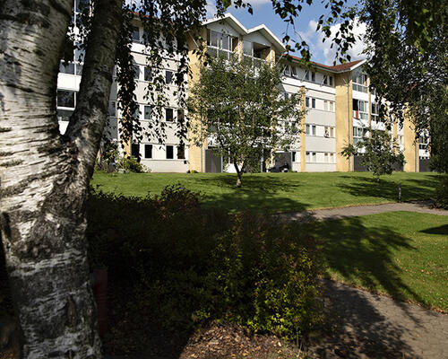 4 værelses lejlighed i Bjerringbro