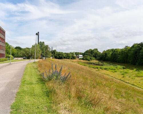 Moderne lejlighed i Høje Taastrup