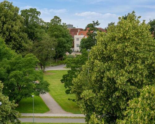 1 værelses lejlighed i Odense C