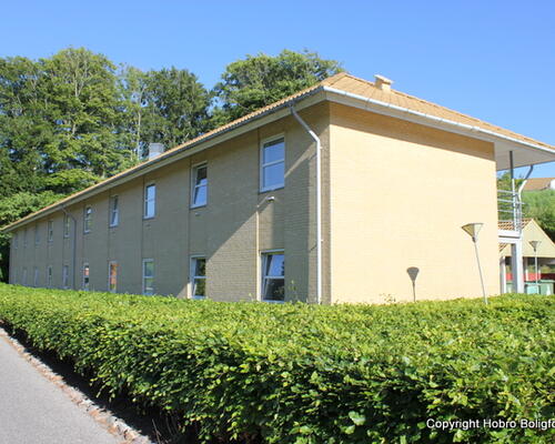 Ungbo Hobro