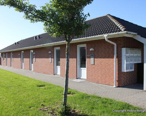 Ungbo Hobro