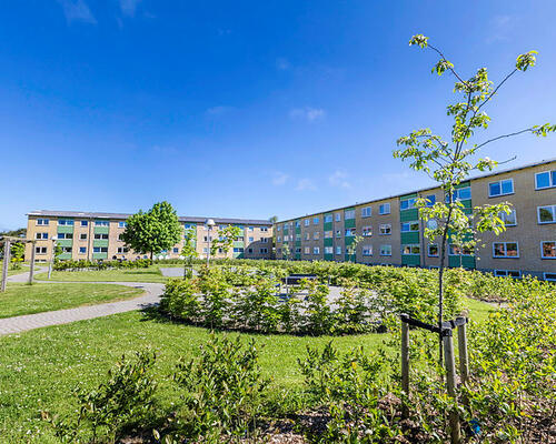 4 værelses lejlighed i Holstebro