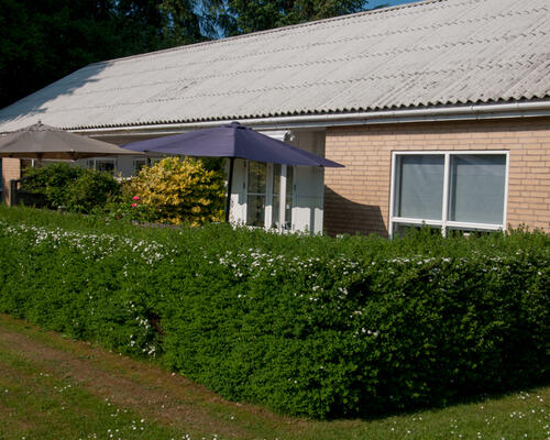 2 værelses lejlighed i Aabenraa