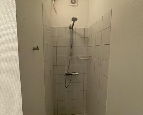 Stor lys lejlighed.