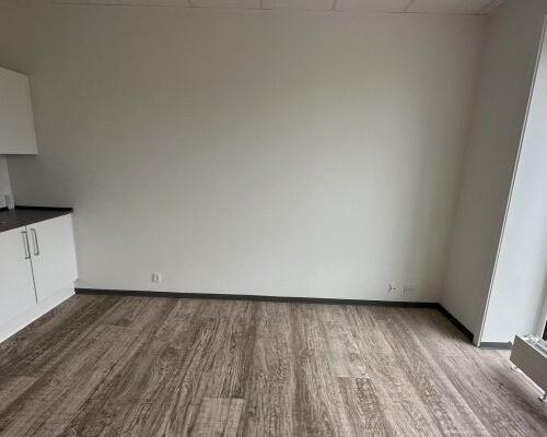 1 værelses lejlighed i Viborg