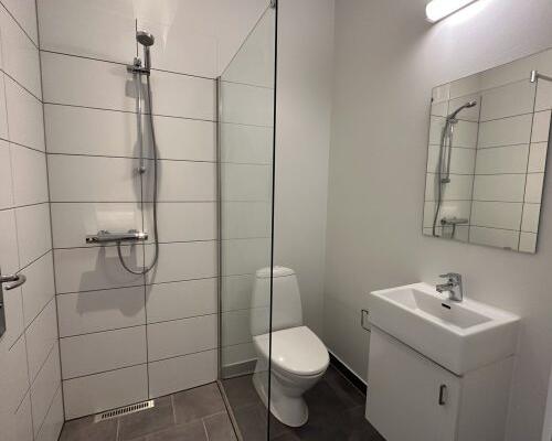 1 værelses lejlighed i Viborg