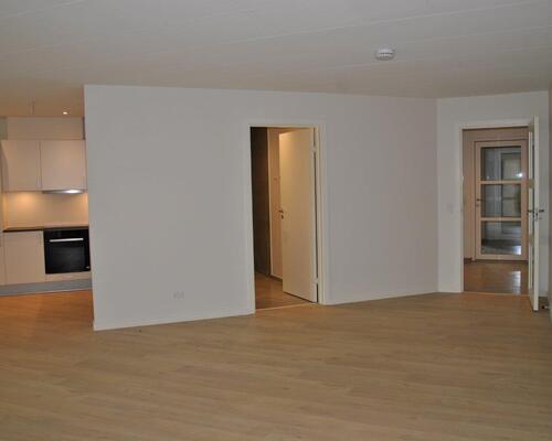 2 værelses lejlighed i Hjallerup