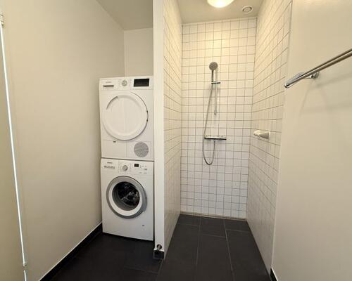 Stor 4-værelses lejlighed med en 58 kvm stor altan.