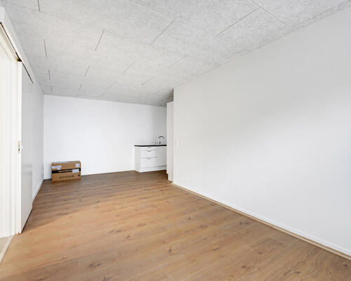 Delevenlig 3-værelses rækkehus i Nørresundby