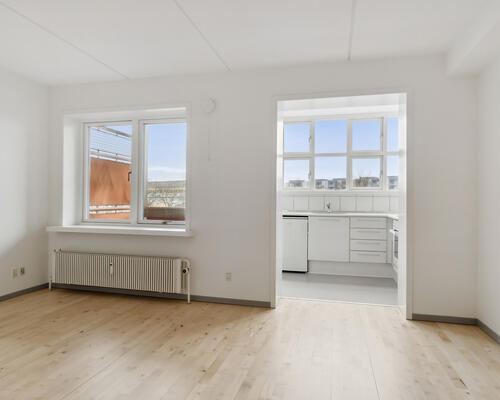 Stor 1-værelses lejlighed på 49 m²