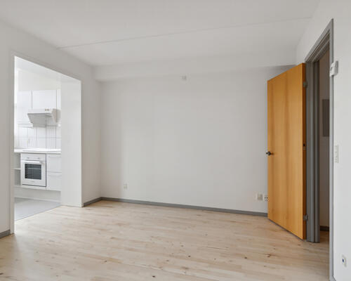 Stor 1-værelses lejlighed på 49 m²