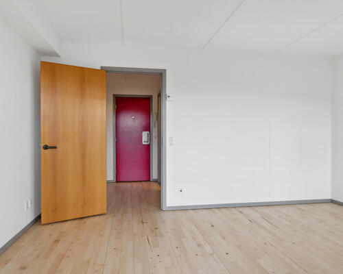 Stor 1-værelses lejlighed på 49 m²