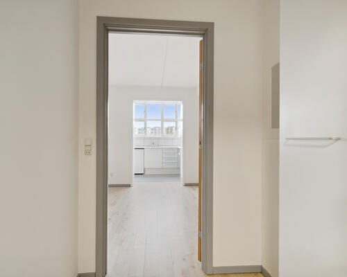 Stor 1-værelses lejlighed på 49 m²
