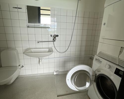 Stor delevenlig 4.værelses