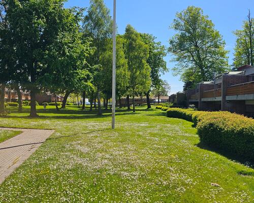 3 værelses lejlighed i Charlottenlund