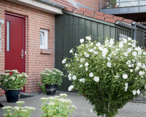 2 værelses lejlighed i Aalborg SØ