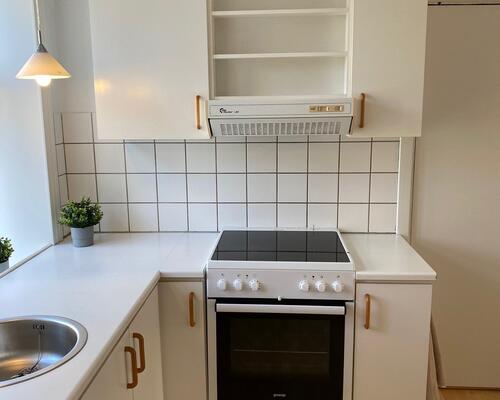 Stor 1 vær. lejlighed i vestbyen nær centrum