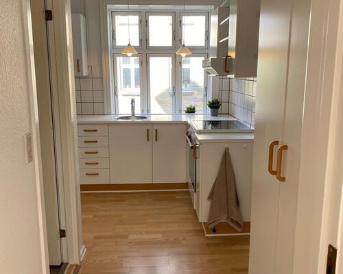 Stor 1 vær. lejlighed i vestbyen nær centrum