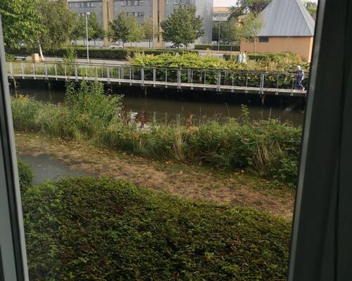 2 værelses lejlighed i Kolding