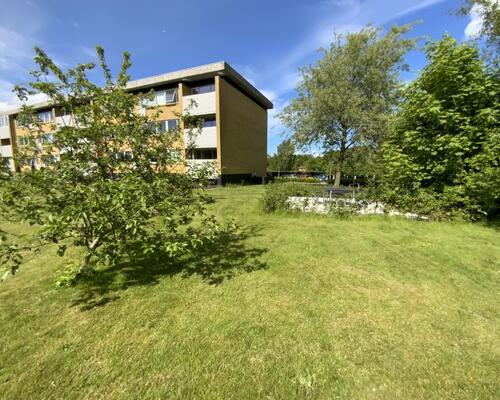 2 værelses lejlighed i Viborg
