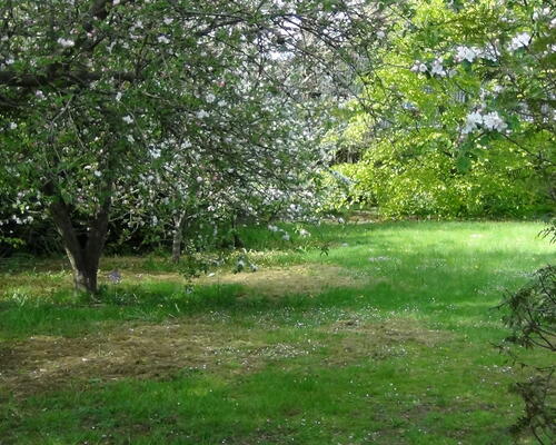 3 værelses lejlighed i Roslev