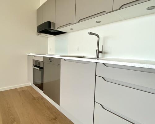 2 værelses – Munkebjergvænget 56, 1. lejl. 3 – Odense M