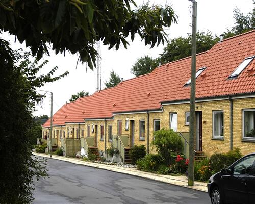 Beskrivelse